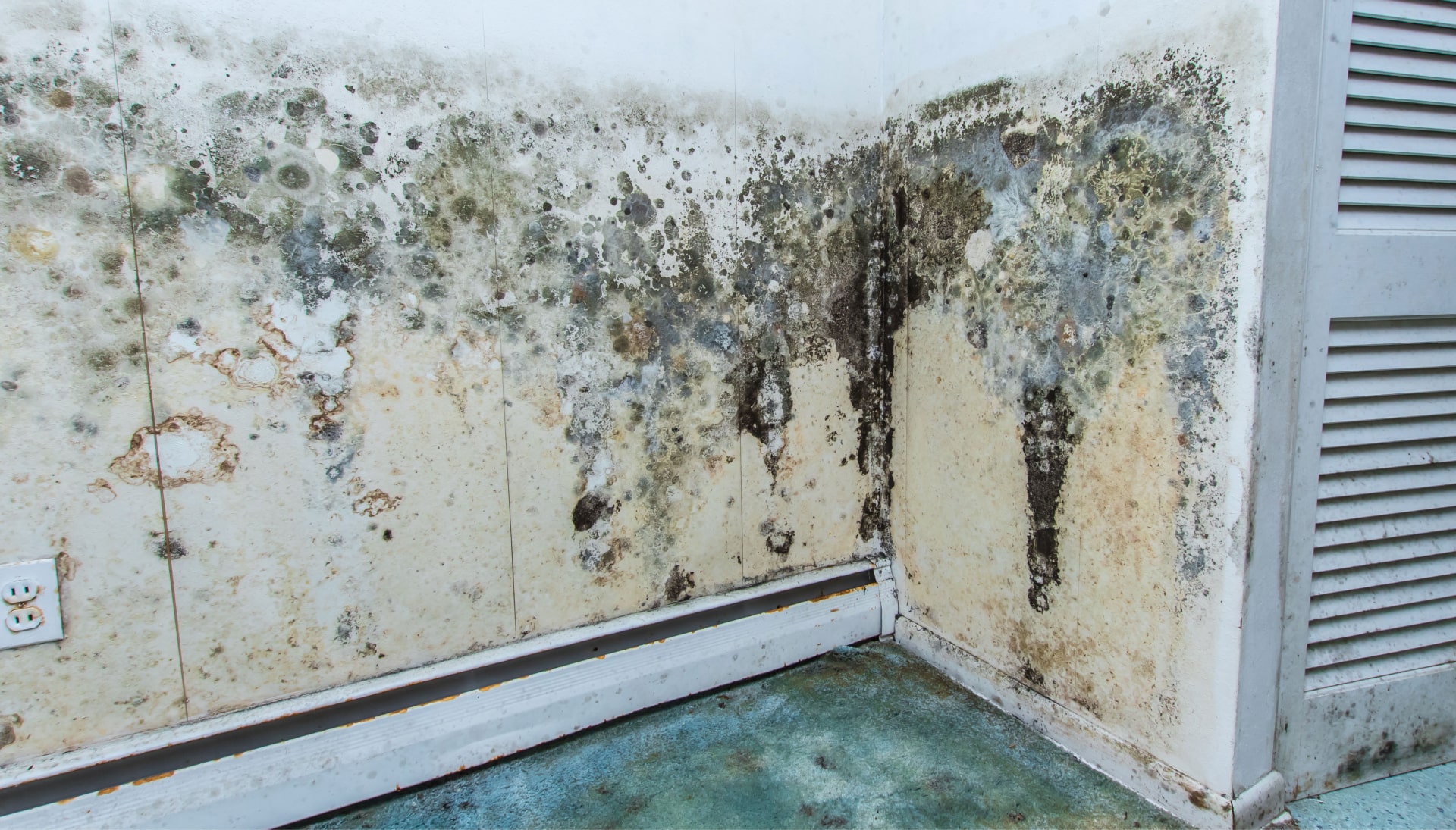 Mold Damage Odor Control Services in Minneapolis