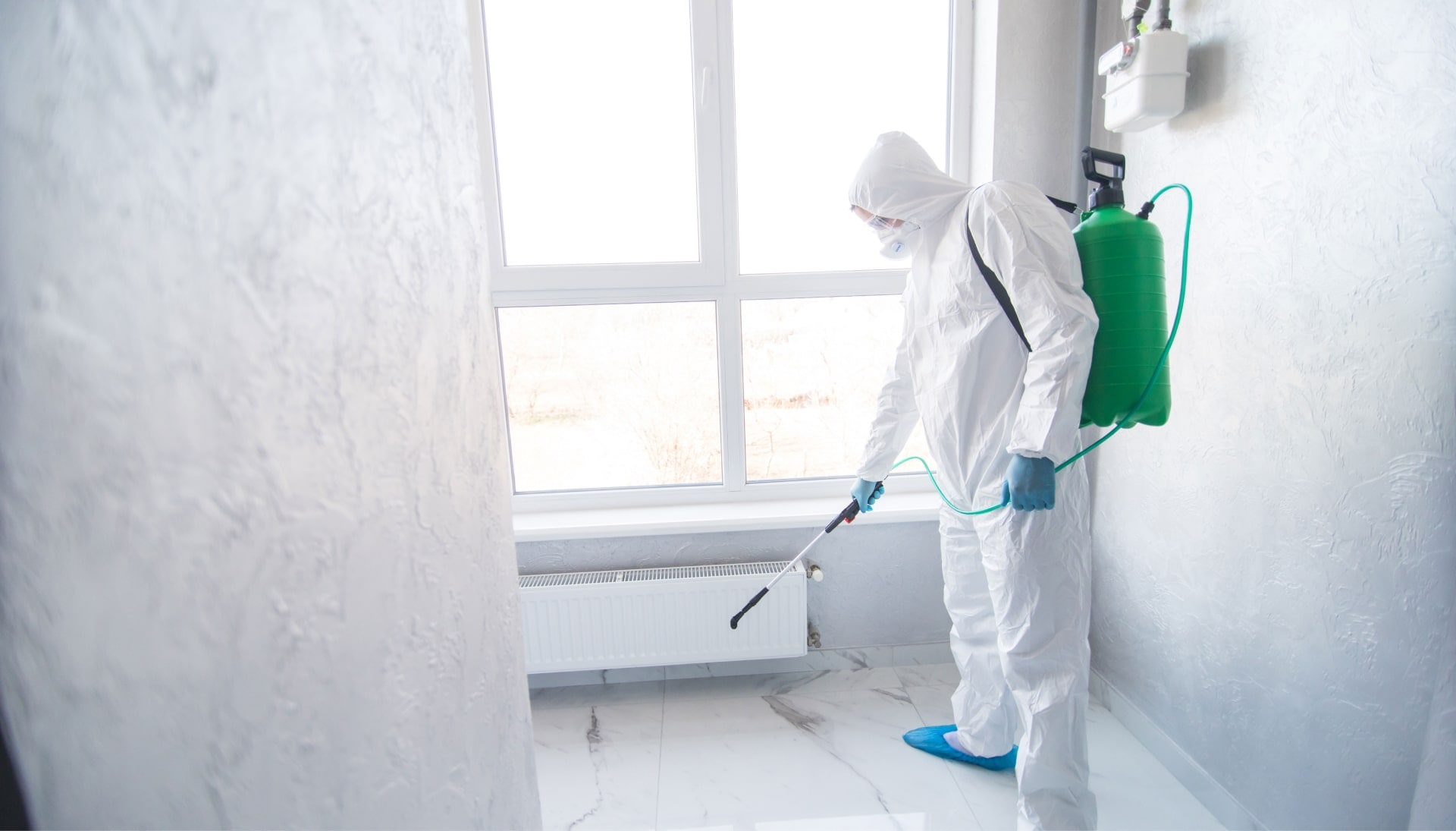 Mold Inspection Services in Minneapolis